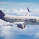 wilgo-Linea