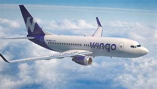 wilgo-Linea