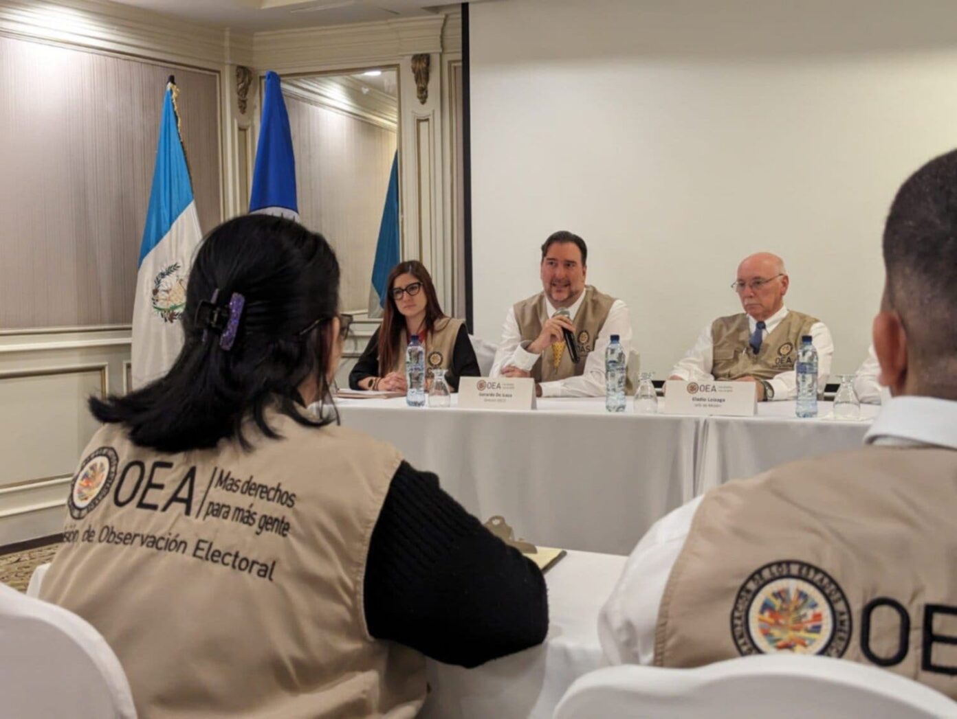 ELECCIONES: La OEA despliega misión de observación para elecciones ...