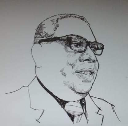 Ilustracion Marino