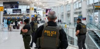 ESTADOS UNIDOS: ICE arresta a dos músicos cubanos, incluido un ganador del Latin Grammy