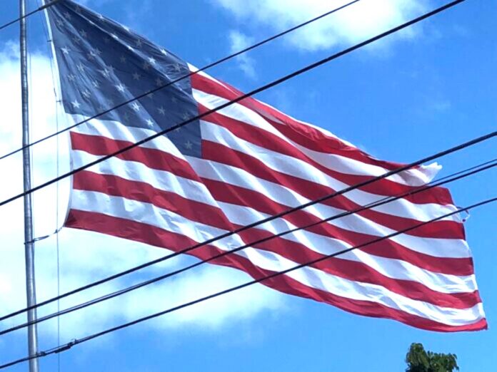Bandera-Americana-81