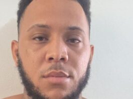CAYÓ: Capturan en Jamaica a “Macho”, prófugo por la muerte de conductor de camión de basura en Santiago