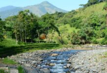 BONAO: Golpe a construcciones ilegales: Medio Ambiente frena invasión en la franja del río Maimón