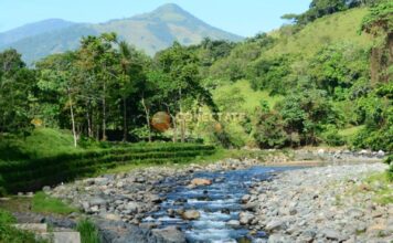 BONAO: Golpe a construcciones ilegales: Medio Ambiente frena invasión en la franja del río Maimón