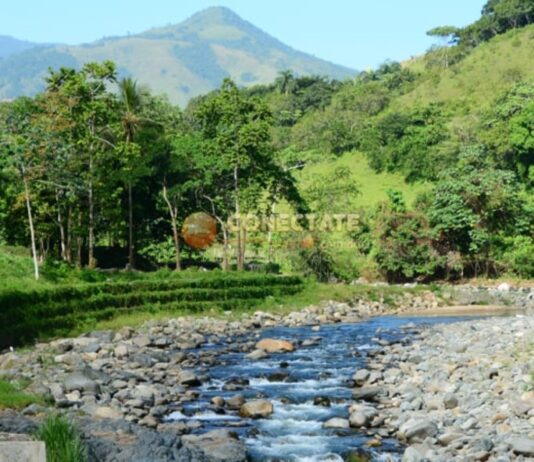 BONAO: Golpe a construcciones ilegales: Medio Ambiente frena invasión en la franja del río Maimón