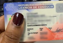 Fallo: Tribunal Constitucional anula límite de dos años renovar licencia de conducir a mayores de 75 años
