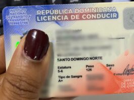 Fallo: Tribunal Constitucional anula límite de dos años renovar licencia de conducir a mayores de 75 años