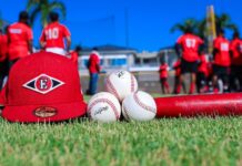 DEPORTES: Leones inician este viernes 25 sus entrenamientos con miras al torneo de invierno