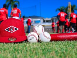 DEPORTES: Leones inician este viernes 25 sus entrenamientos con miras al torneo de invierno