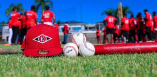 DEPORTES: Leones inician este viernes 25 sus entrenamientos con miras al torneo de invierno