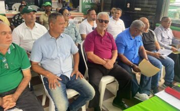 POLITICA: Reestructuran cuadros politicos de la Fuerza del Pueblo en Bonao