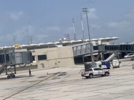 LLAMADO: Mujer dominicana detenida en Venezuela pide la deporten a su país