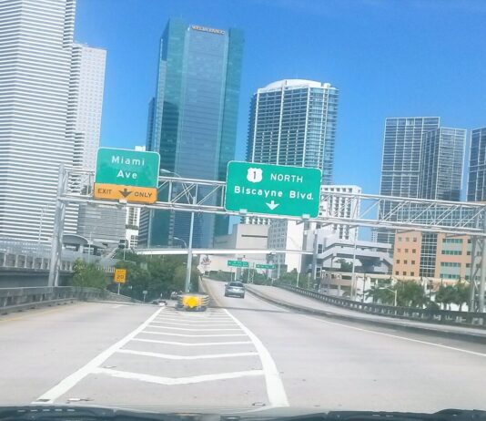 EN EL FOCO: Arrestan en EE. UU. a dominicana acusada de liderar red de matrimonios falsos que operó por más de 10 años