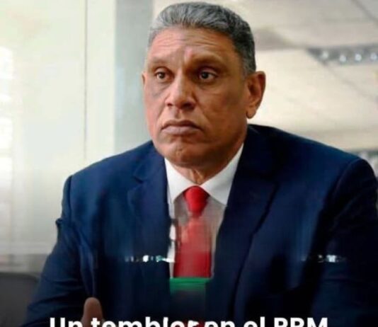 POLITICA: Un temblor en el PRM