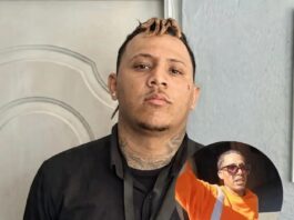 EXTRADITADO: Llega a RD Jhovanny de Jesús Metz, señalado de la muerte del chofer Deivy Carlos Abreu