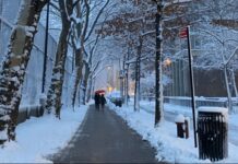 EL TIEMPO: Invierno en Nueva York podría traer cambios inesperados