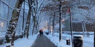 EL TIEMPO: Invierno en Nueva York podría traer cambios inesperados