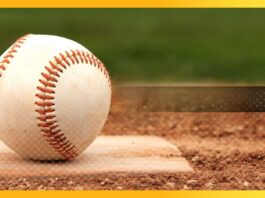LIDOM: Inicia hoy el torneo invernal dominicano; Toros, Licey, Leones, Águilas, Estrellas y Gigantes