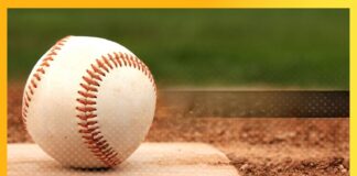 LIDOM: Inicia hoy el torneo invernal dominicano; Toros, Licey, Leones, Águilas, Estrellas y GIgantes