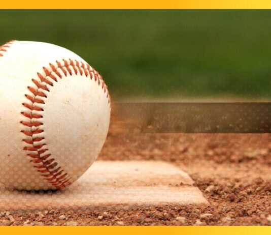 LIDOM: Inicia hoy el torneo invernal dominicano; Toros, Licey, Leones, Águilas, Estrellas y GIgantes